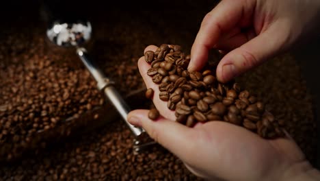 person handing coffee beans