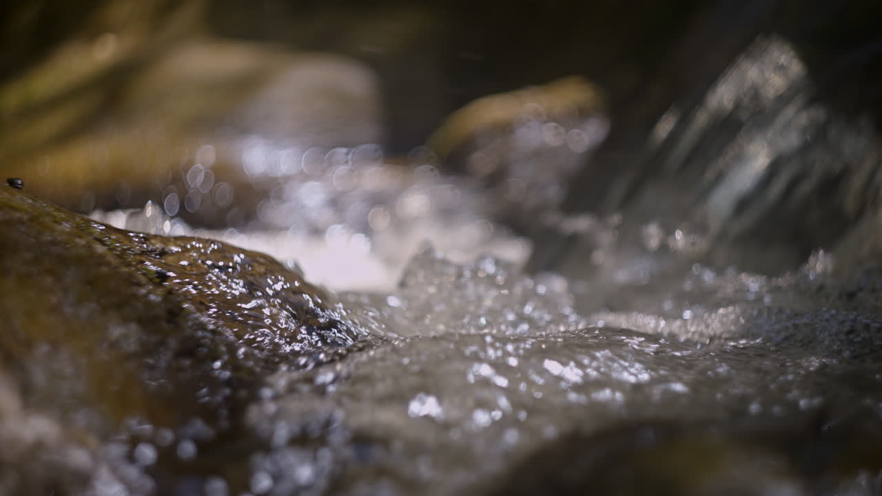 하천의 클로즈업