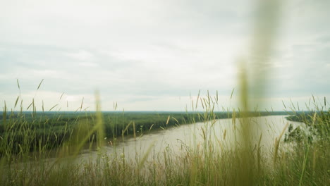 a serene view of a calm lake surrounded by dense, lush greenery, with tall grasses swaying gently in the foreground. the scene captures the peacefulness of nature under a cloudy sky