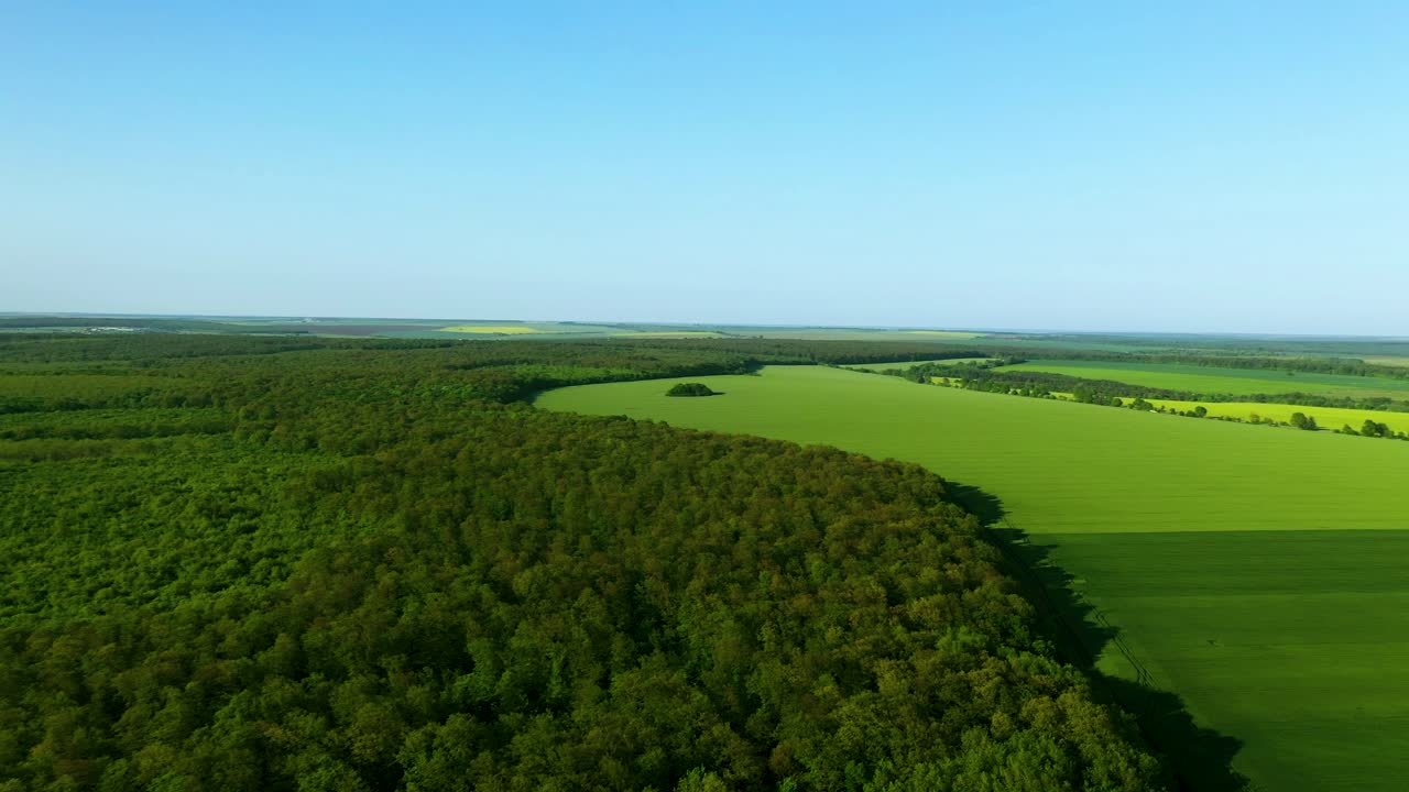 The Border Between Lush Forest Green Fields With Beautiful Blue Sky Aerial Footage