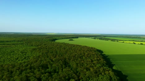 the border between lush forest green fields with beautiful blue sky aerial footage