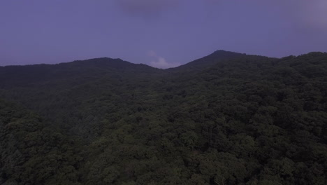 aerial view of mountains filled with summer and green, clear sky