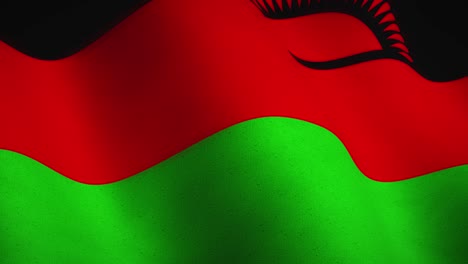 malawi background flag texture waving - video loop seamless