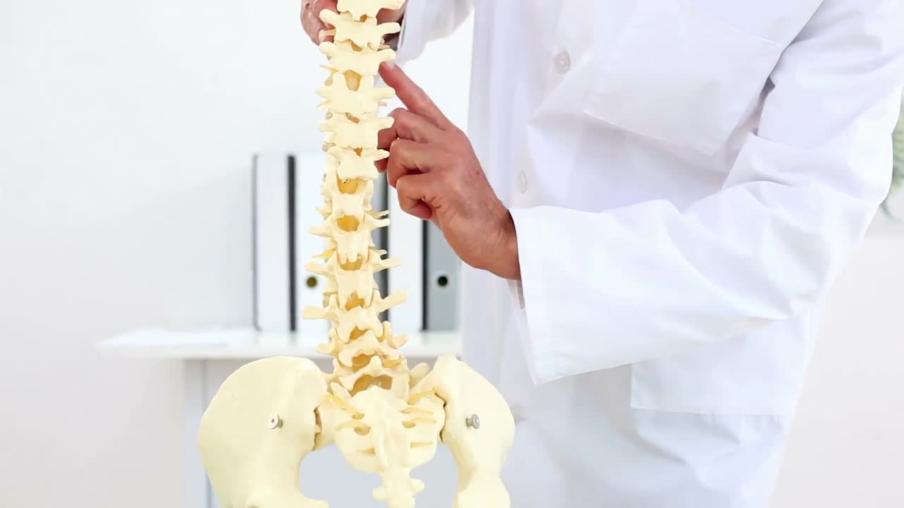 척추 의 모델 을 카메라 에 설명 하는 의사