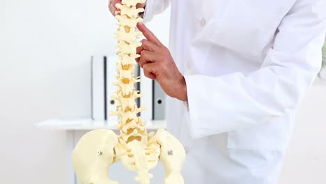 doctor explaining model of spine to camera