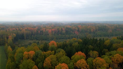 A-beautiful-aerial-view-of-dense-woody-terrain-with-colorful-autumn-foliage,-orange-and-red-leafs