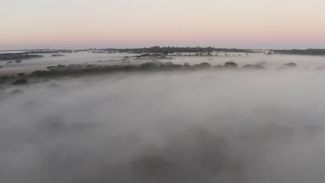 aerial ascending early morning in the savannah of zimbabwe with a lot of fog