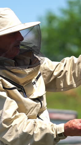 un apicultor inspeccionando el panal de miel