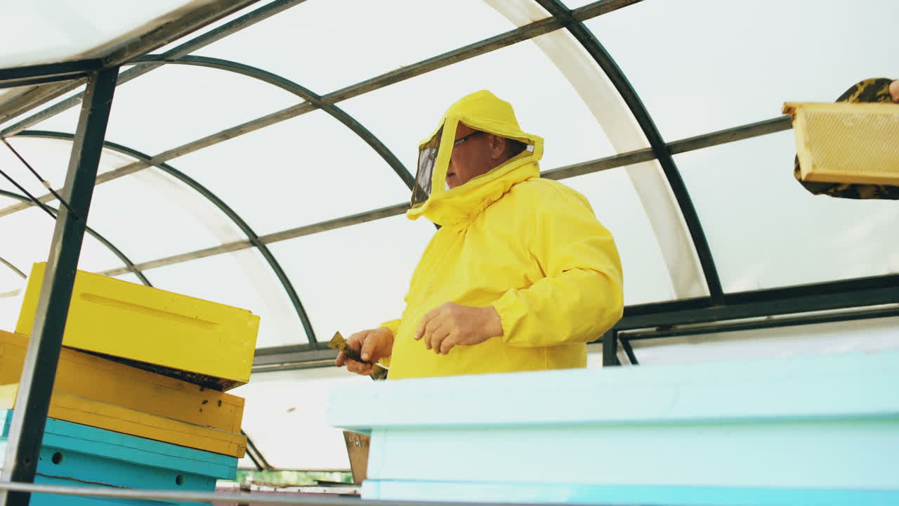 Beekeepers Inspecting Beehives