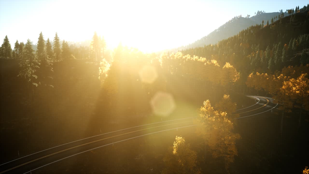 해질녘 산에 있는 소나무 숲 위로 공중 드론 보기 비행