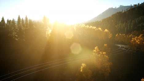 vuelo aéreo con drones sobre un bosque de pinos en la montaña al atardecer