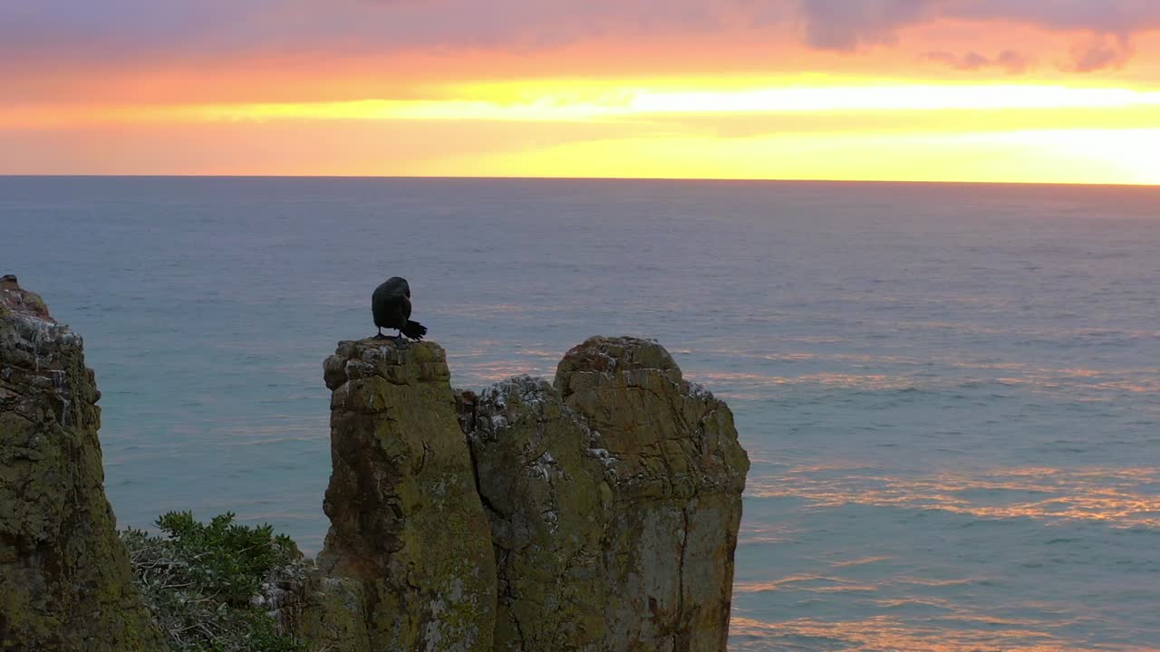 cormorán encaramado en las rocas de la catedral mientras se acicalaba con el espectacular cielo de la puesta de sol en el fondo en kiama downs, nsw, australia