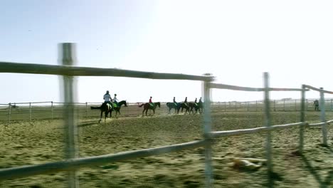 group riding horse within fences