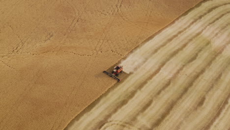 Cosechadora-única-Que-Trabaja-En-Un-Gran-Campo-De-Grano-En-América,-Antena