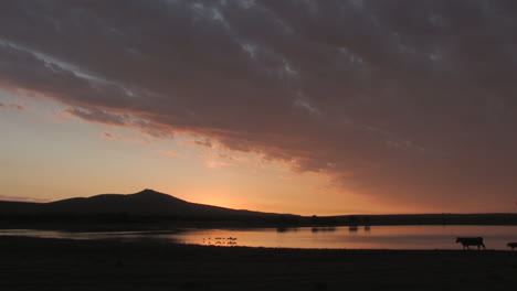 Lago-Al-Atardecer-En-Viñedos