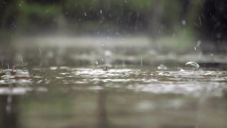 Rain on the Ground