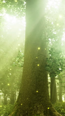 bright sunlight filters through trees in a serene forest filled with fireflies