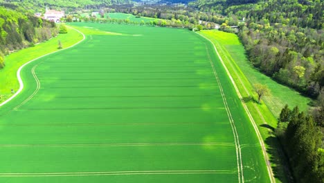 drone fly over forest and fields in summer 4k