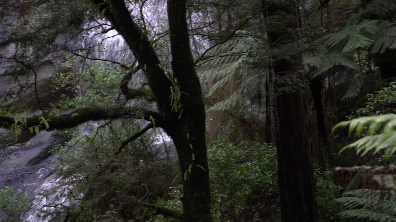 dos corrientes de cascada que fluyen sobre el acantilado de la montaña rocosa entre la selva tropical