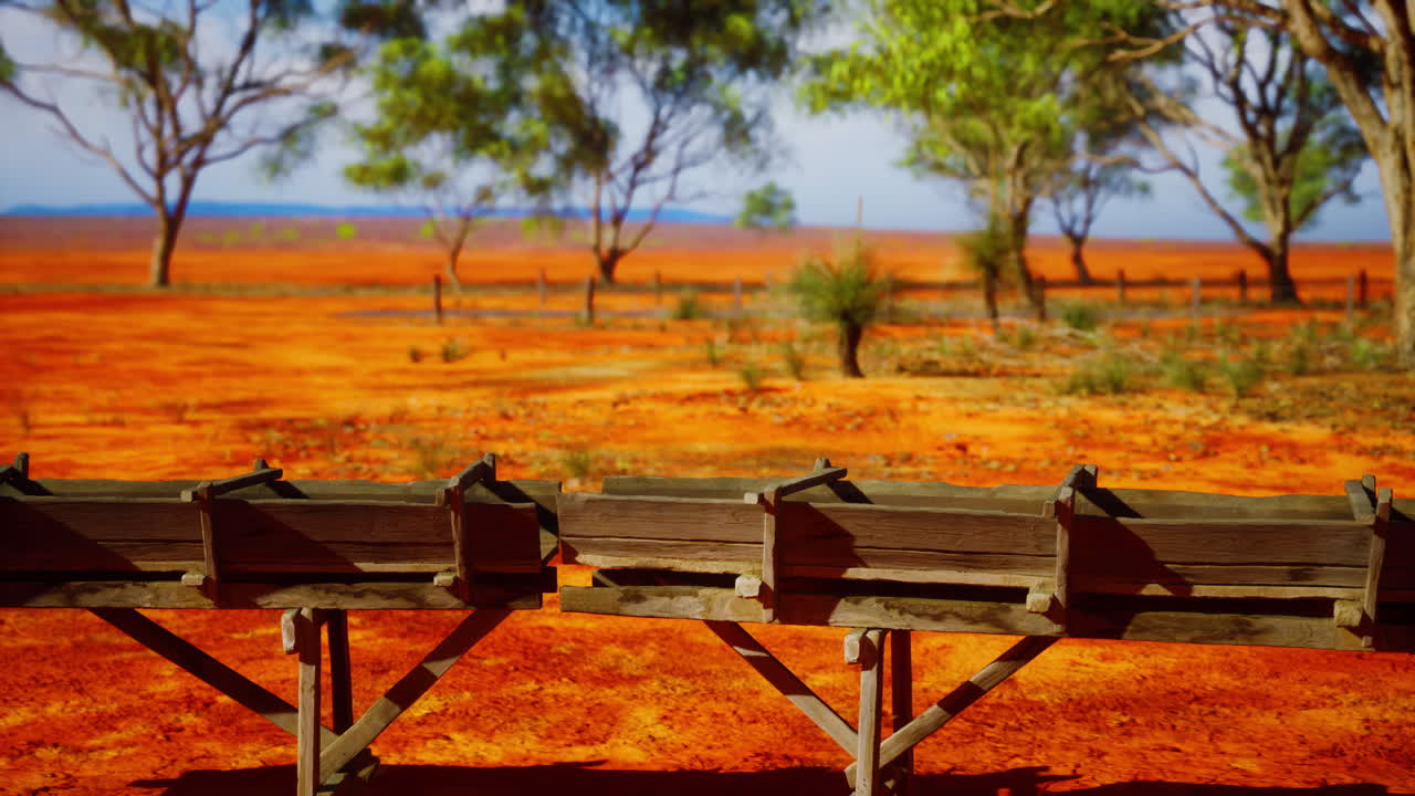 사바나 의 전통적 인 나무 수로