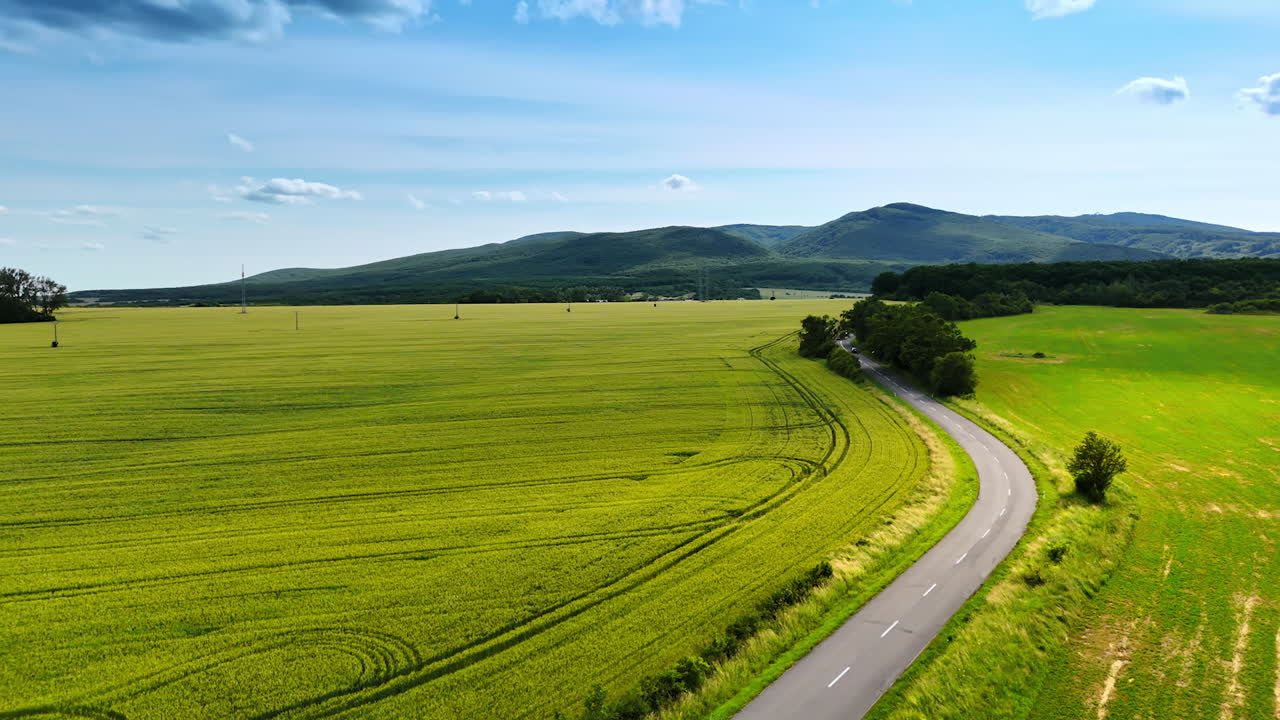 Winding road through green fields. A winding road cuts through vibrant green fields under a clear blue sky, with distant mountains in the background