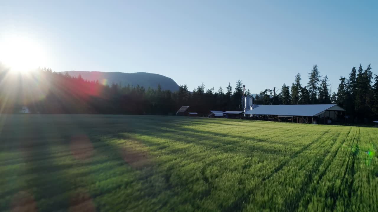 campo verde en el campo 4k