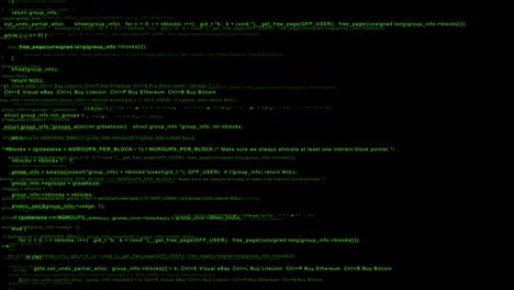 hacker di schermo programmatori
