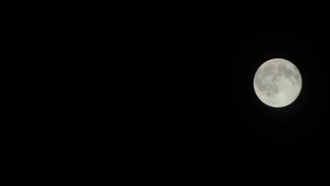 luna brillando en fondo negro. la luna es un cuerpo astronómico que orbita alrededor del planeta