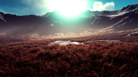 stones covered with grass and moss under bright sky of nepal