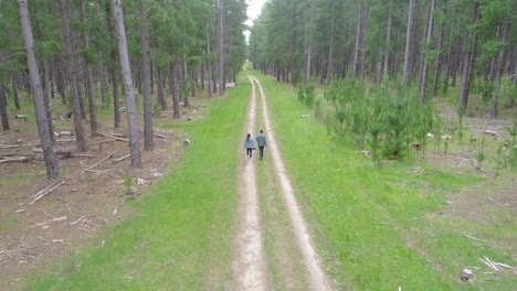 dos personas caminando por un sendero entre pinos altos en un bosque