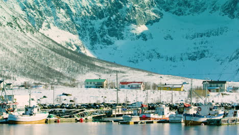 impresionante foto de barcos y casas en tromvik, noruega