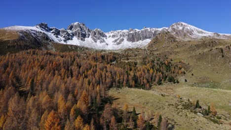 Dirigiéndose-Hacia-Los-Picos-Nevados-Lagorai-De-Madera-De-Abeto-Rojo-En-Las-Laderas-De-Las-Montañas