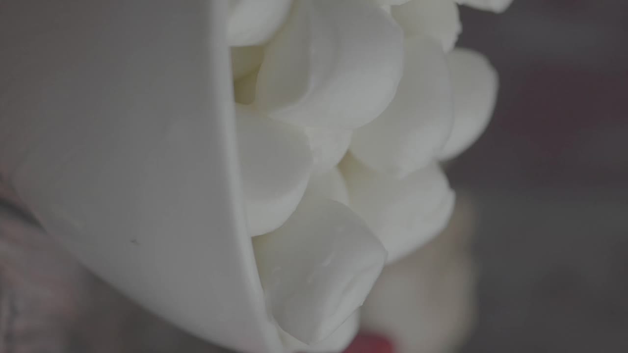 primer plano de las bolas de queso mozzarella fresco