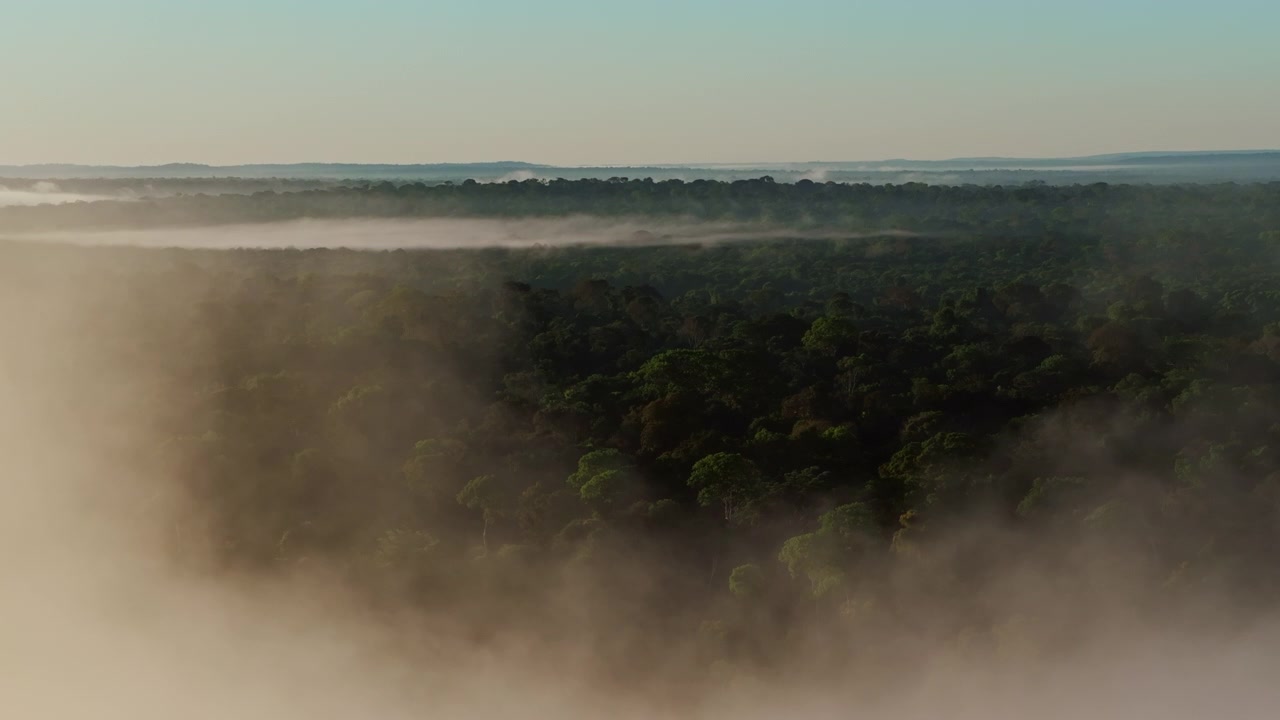 Volo aereo sopra la volta della foresta pluviale amazzonica, con una fitta nebbia mattutina che si sposta sopra la lussureggiante foresta tropicale e crea un paesaggio atmosferico sereno