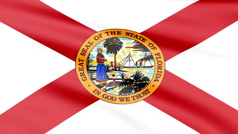 large looping animated flag of florida