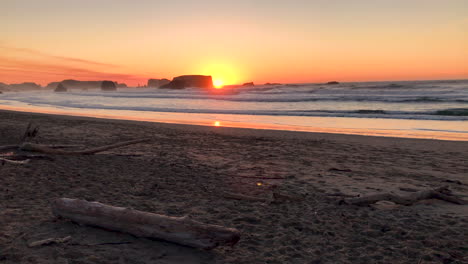 driftwood at bandon beach in southern oregon, panning to show beach and people walking during sunset at this popular tourist destination