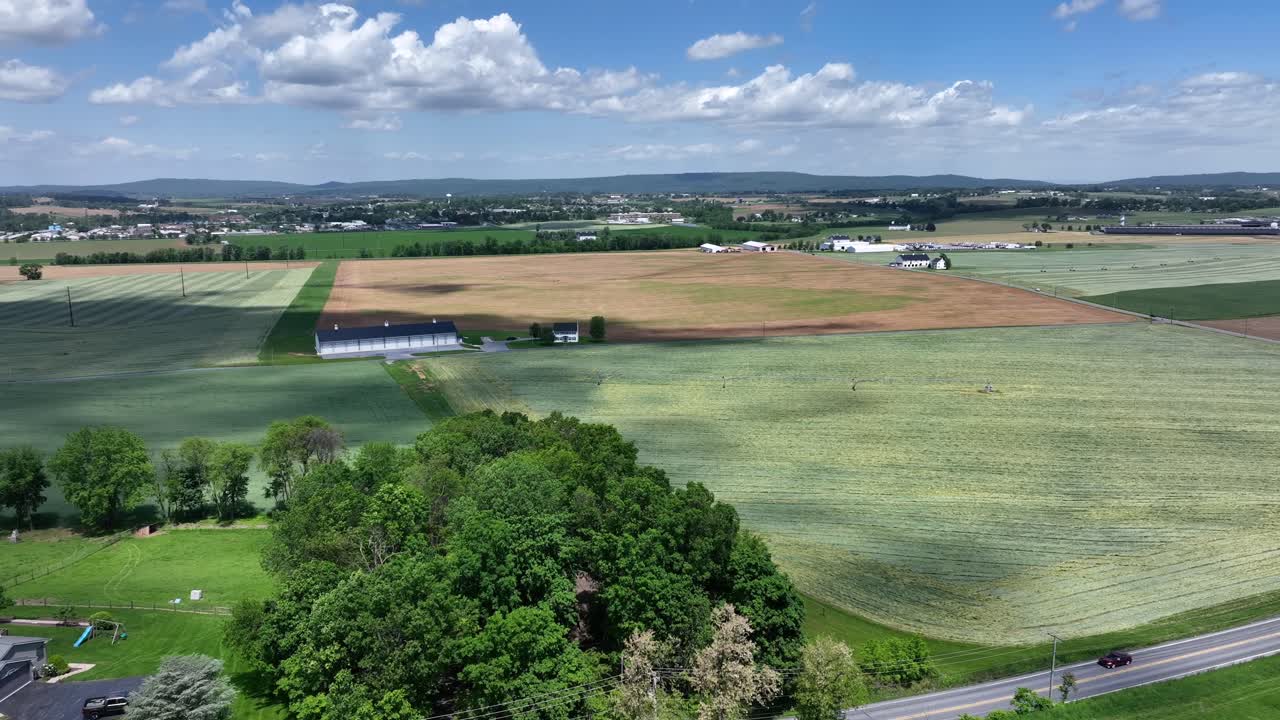 Aerial wide shot of agricultural farm fields and cars on street during beautiful weather in america. Green trees farmsteads and shadow of clouds on field.