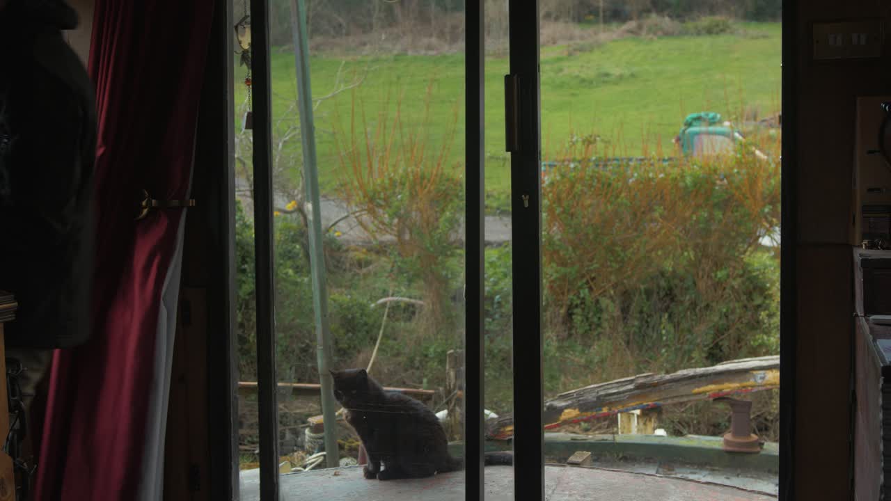 집 보트 4k에 분할 통나무를 들고 젊은 남자