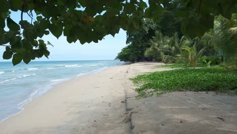 4k beautiful scenic beach view with palm trees and vegetation on a summers vacation in koh chang, thailand