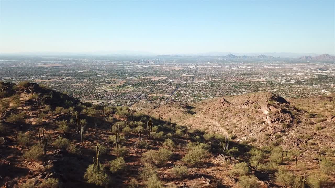 Riprese aeree sul paesaggio di Phoenix con un campo di cactus Saguaro.