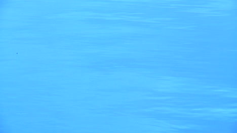 rippling surface of a body of water  1