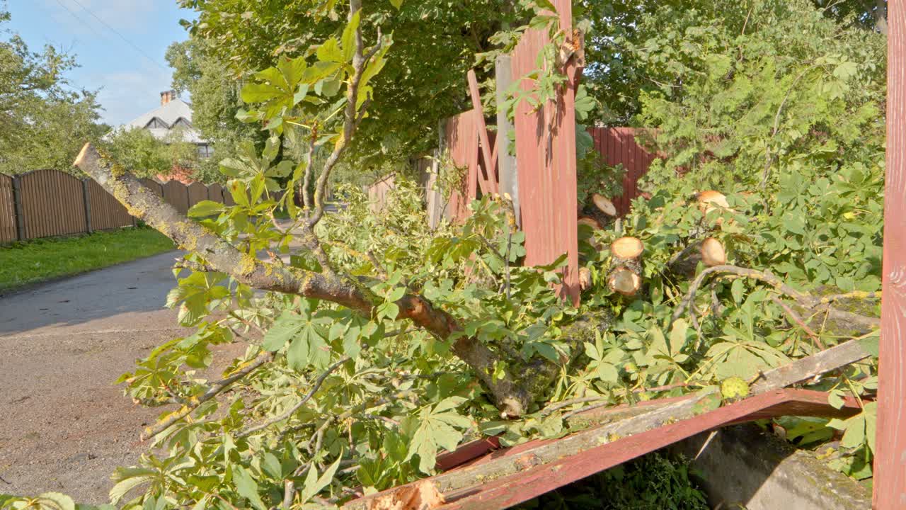 나무 가지가 나무 울타리에 떨어지고 깨졌어요.