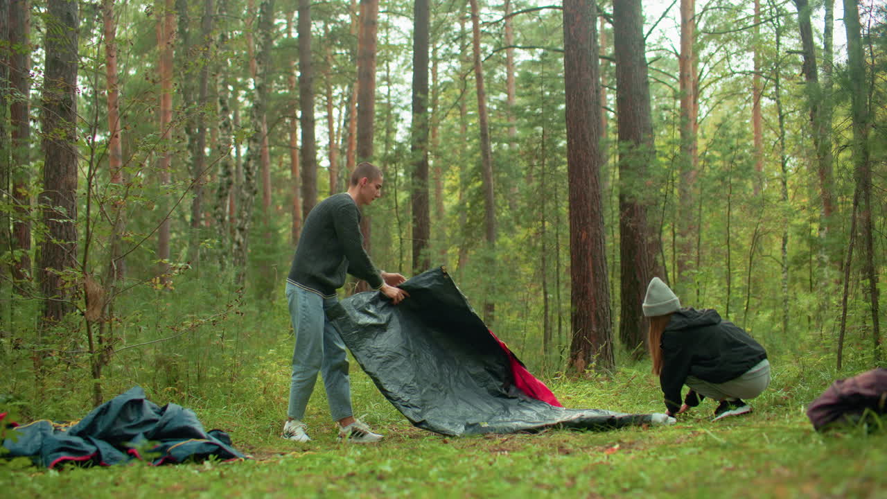 Man and woman prepare to set up tent on grassy forest ground during picnic, surrounded by camping gear and tall pine trees in natural outdoor setting, working together with focus and coordination