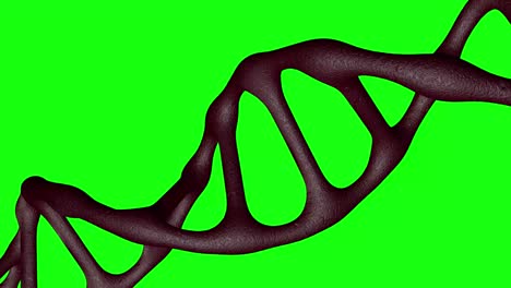 rotating dna formation via peeling of skin with green screen motion background