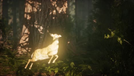 extreme-slow-motion-deer-jump-in-pine-forest