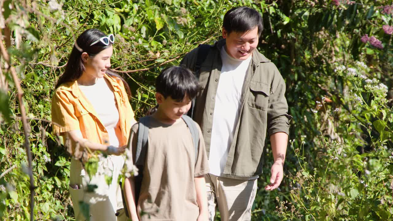 アジア系の両親と2人の子供たちが、夏の自然散策中に、太陽が降り注ぐ熱帯の森を探検します。