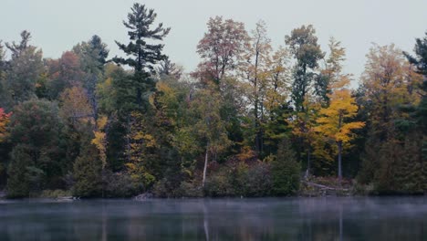 Niebla-Espeluznante-Flota-Sobre-El-Lago-Durante-Un-Sombrío-Día-De-Otoño-En-Un-Bosque-Colorido