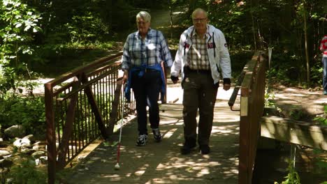 people walking on a bridge in the forest