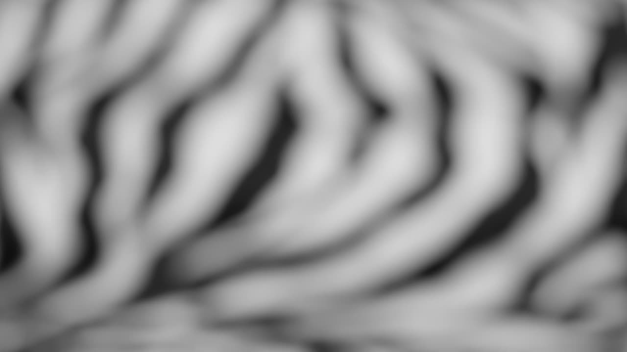 Soft Focus Abstract Black and White Flowing Pattern