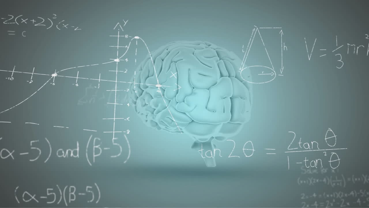 animación del procesamiento de datos matemáticos en el cerebro humano